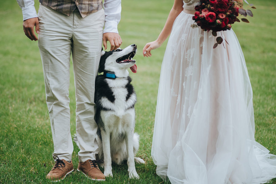 Incorporate Your Furry Friends into Your Wedding