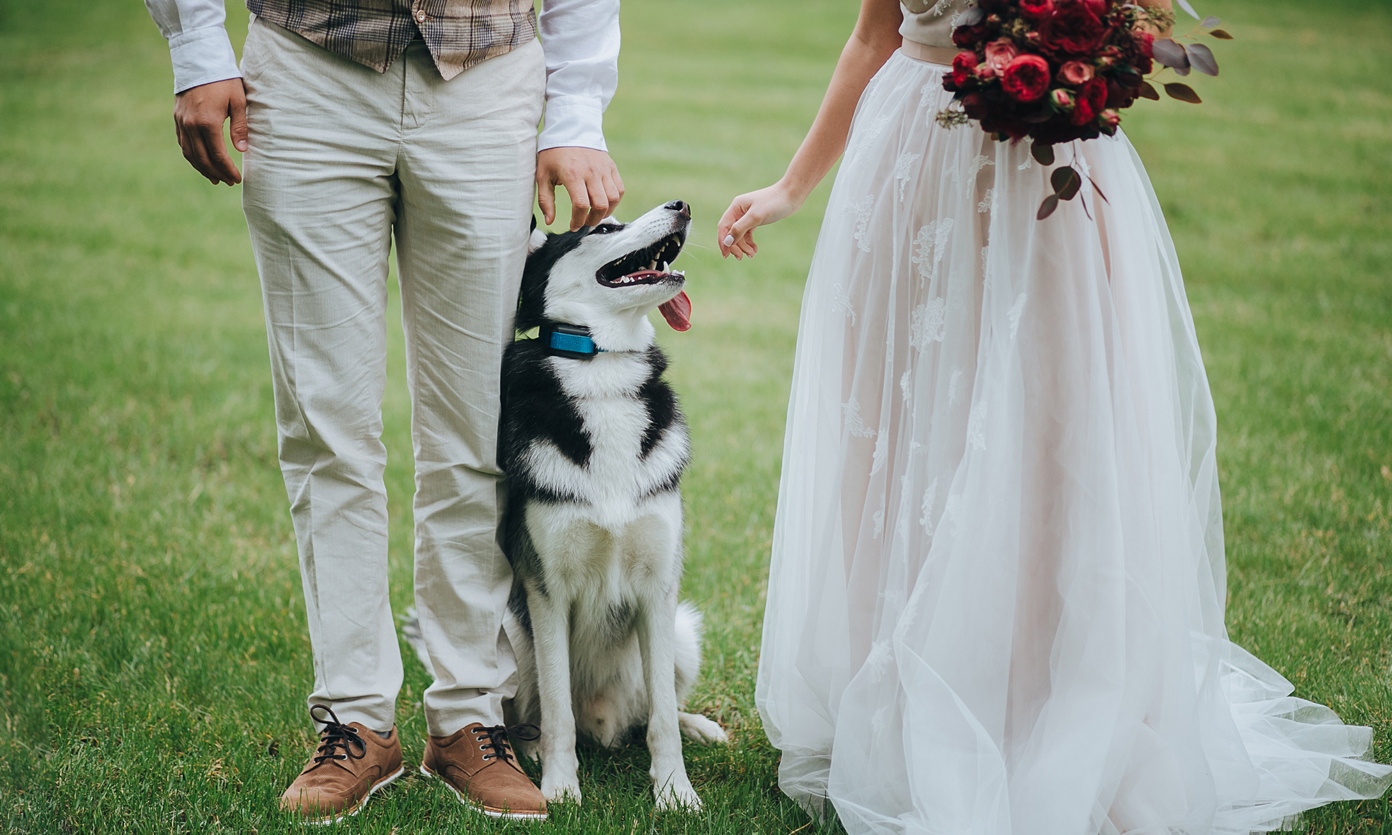 Incorporate Your Furry Friends into Your Wedding